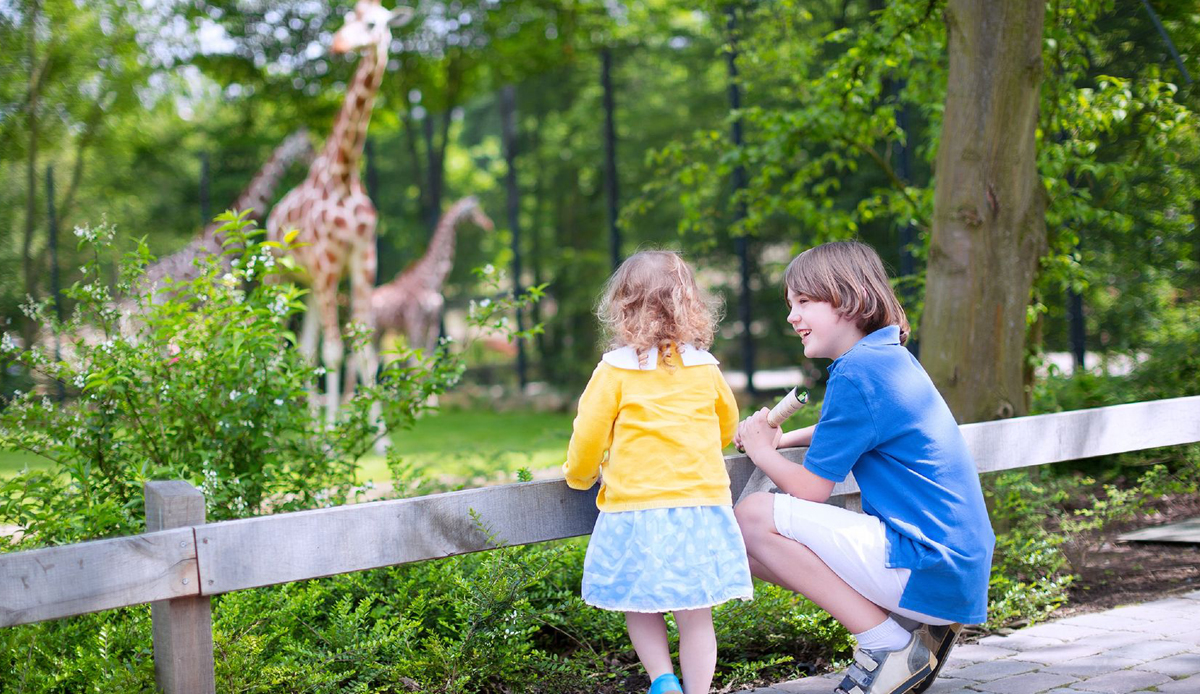 Nashville Zoo